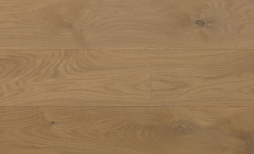 White Oak Hush